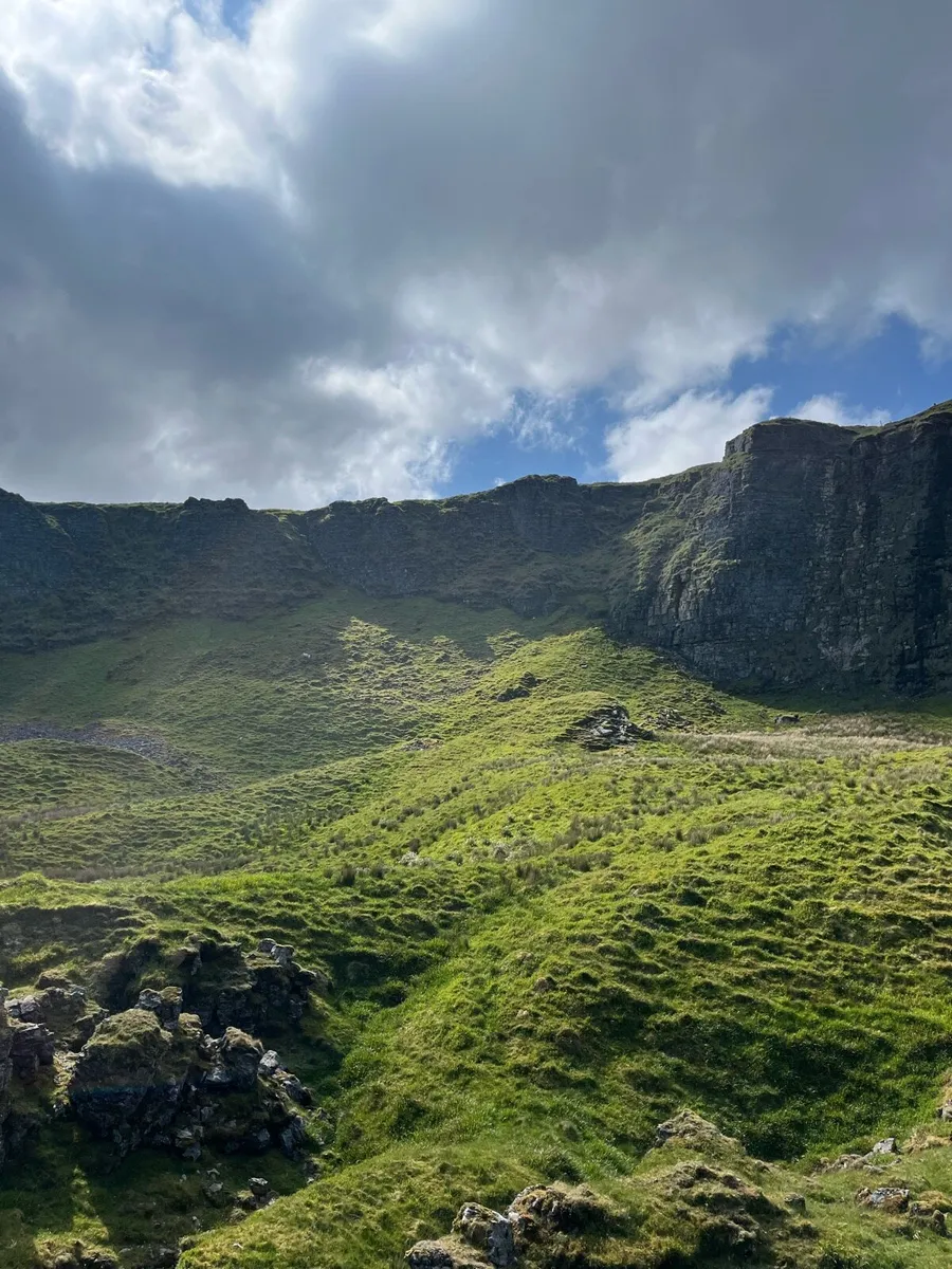 Looking for organic grazing