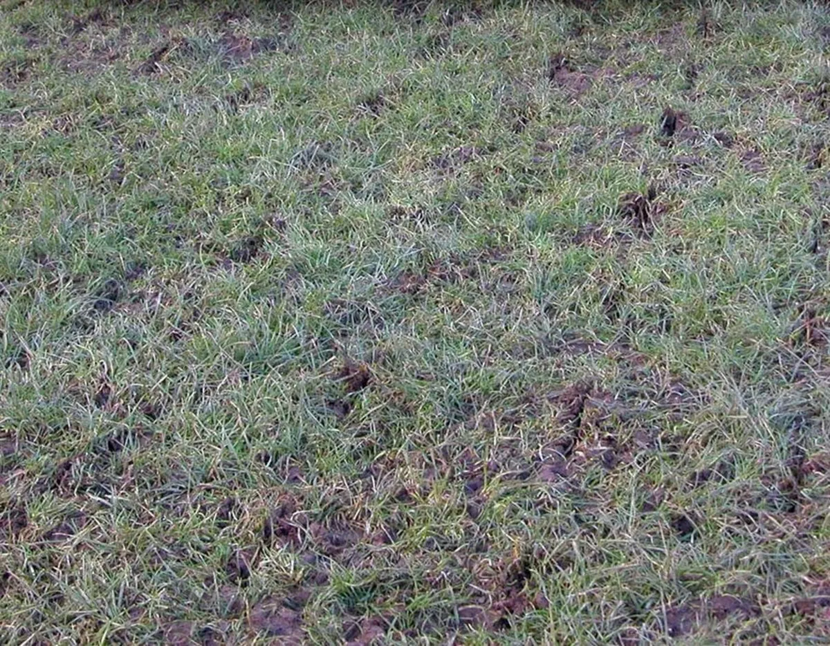 Logic Aerator / Slitter (LTA 160) - Image 3