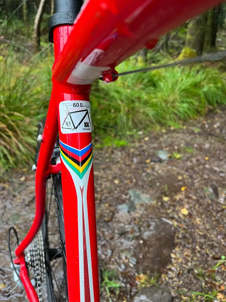 Specialized Allez xxl - Image 2