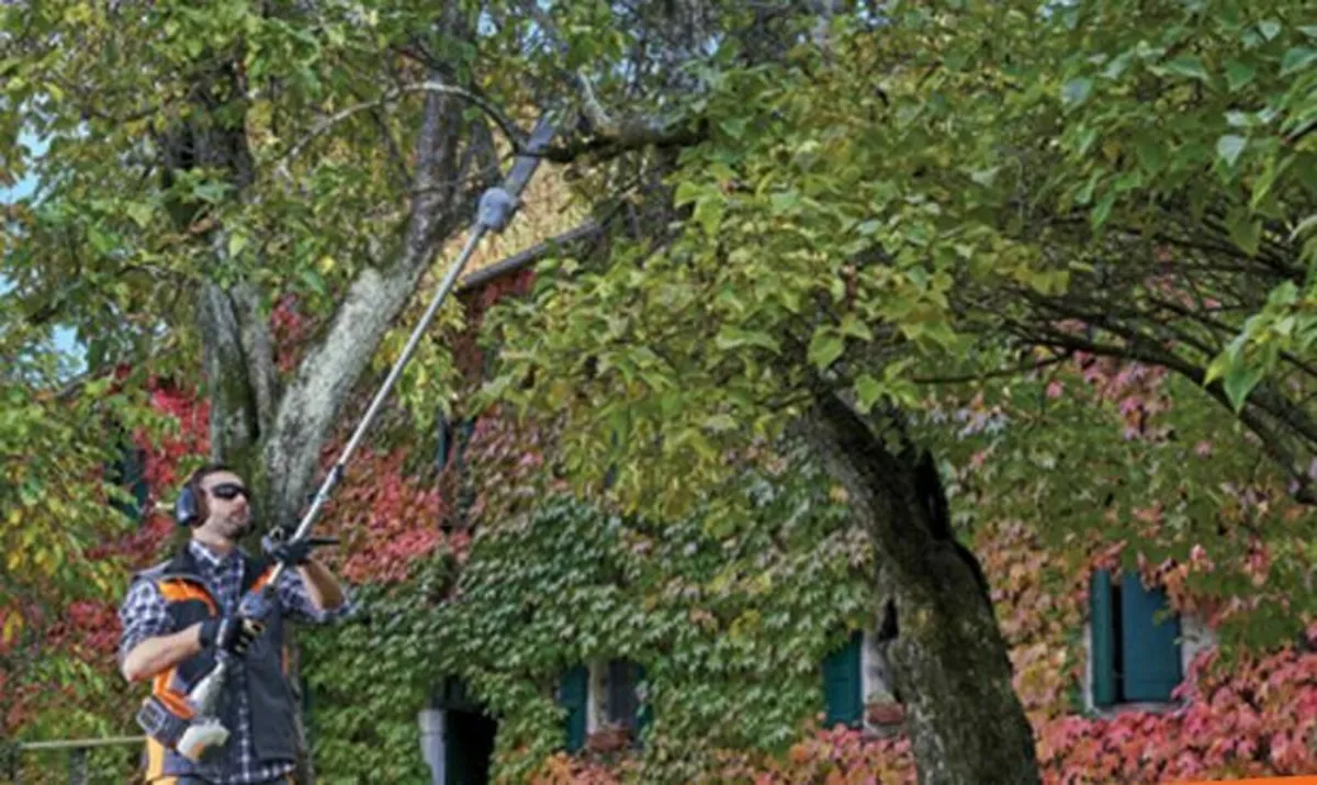 OleoMac Pole Saw - Image 3