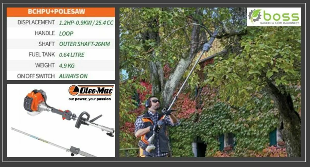 OleoMac Pole Saw - Image 1