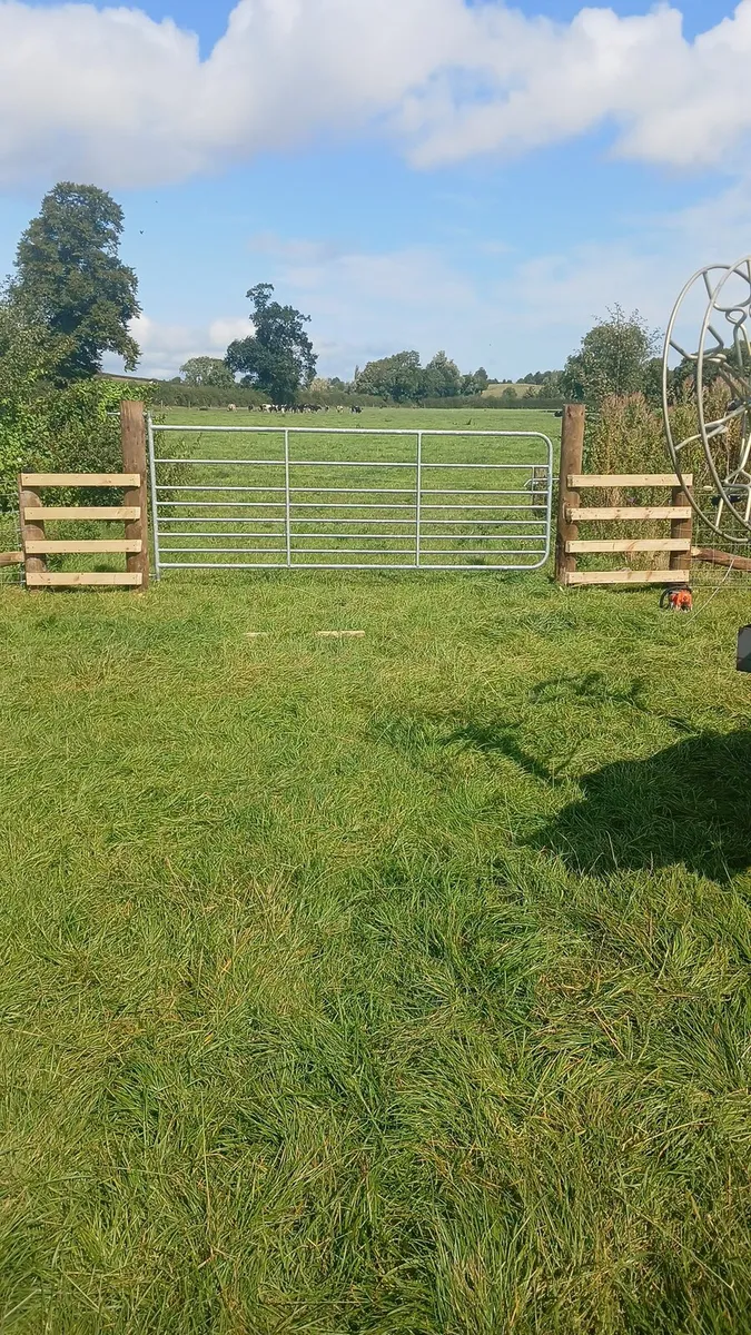 Fencing contractor - Image 1