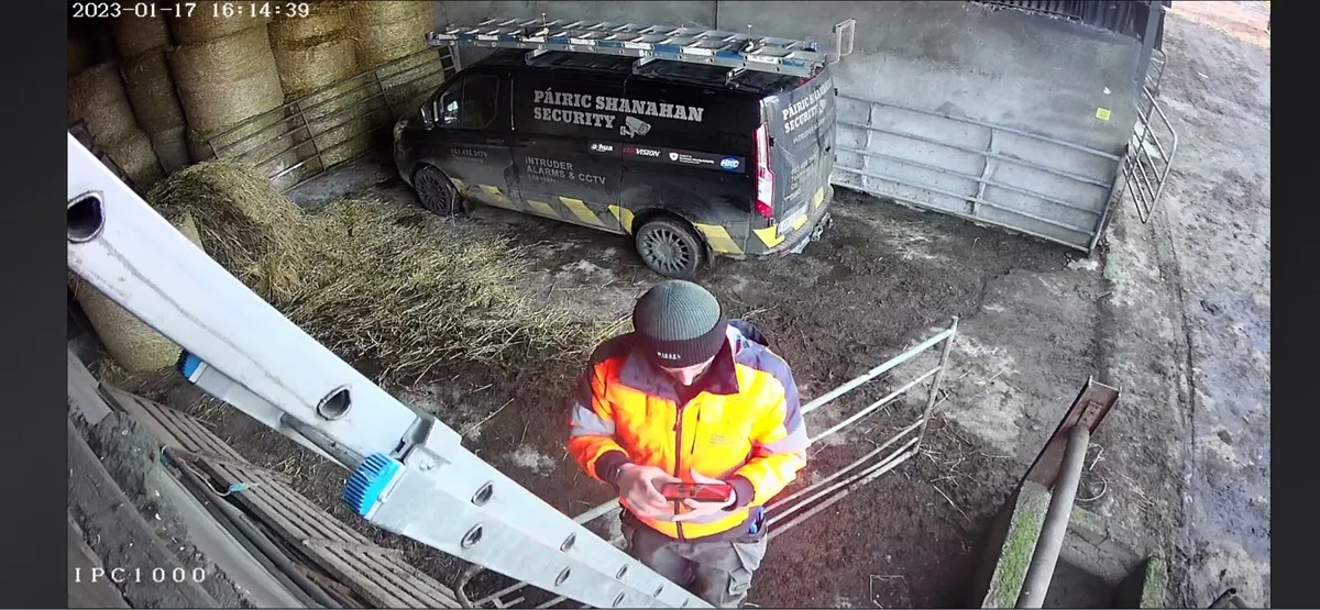 Calving CCTV - Image 4