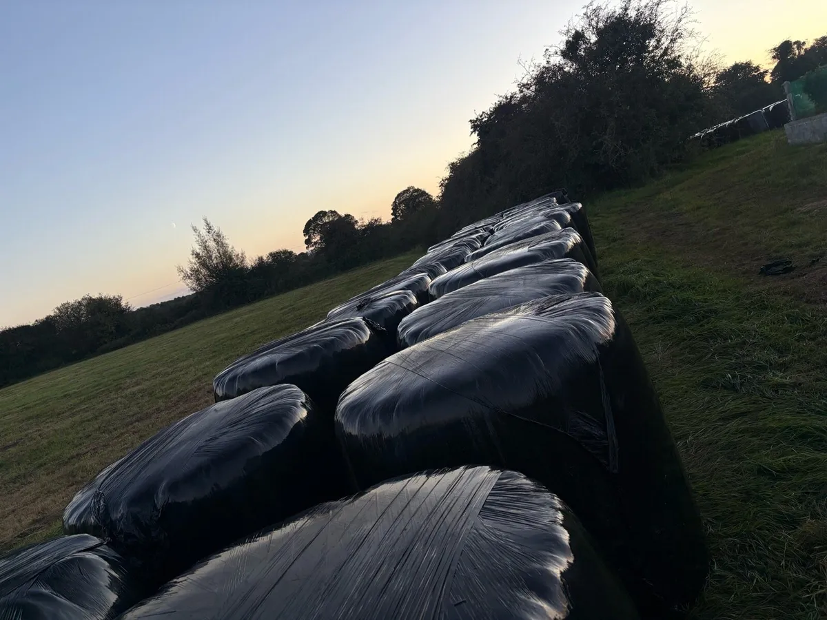 Silage Bales - Image 1