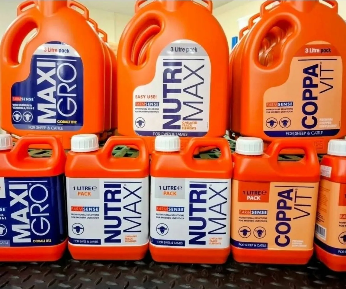 MaxiGro for Lambs - Image 3