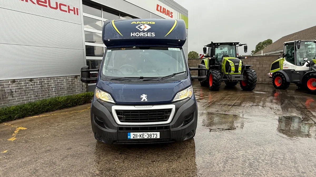 Peugeot Boxer R160 Horsebox / Transporter / Van - Image 3