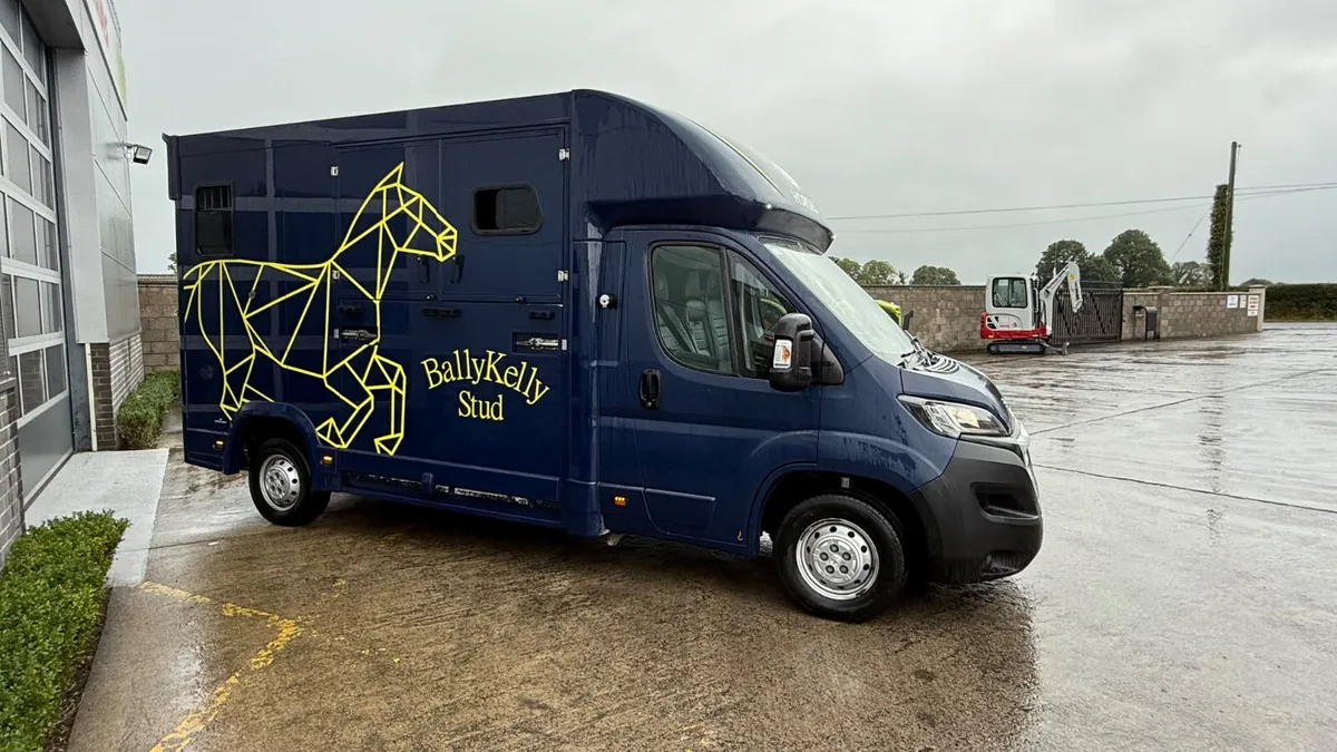 Peugeot Boxer R160 Horsebox / Transporter / Van - Image 4