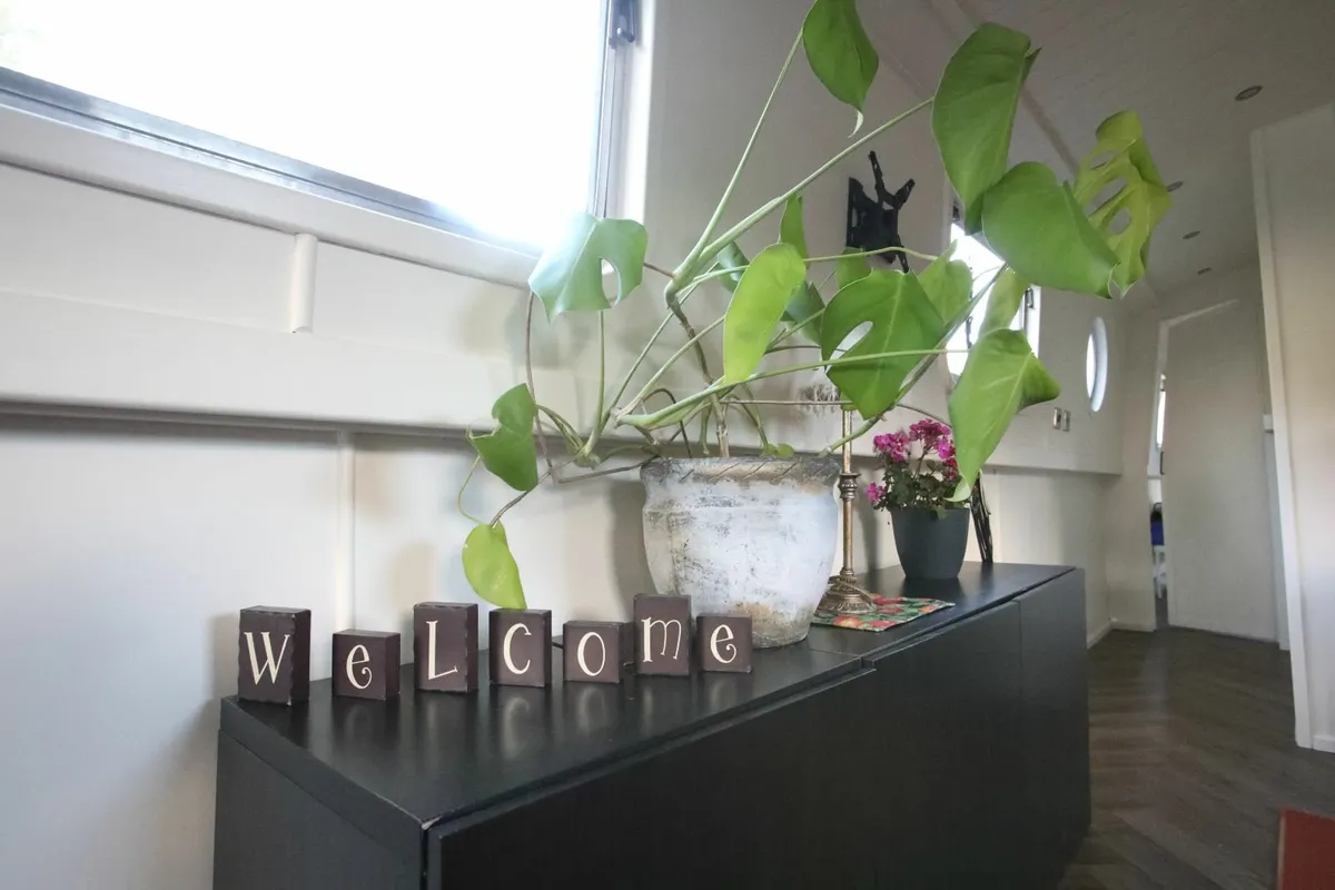 Liveaboard Barge Boat 2018 Collingwood - Image 2