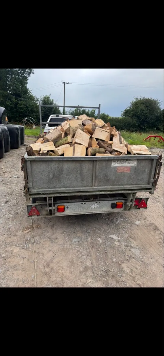 🔸Top quality seasoned firewood🔸 - Image 4