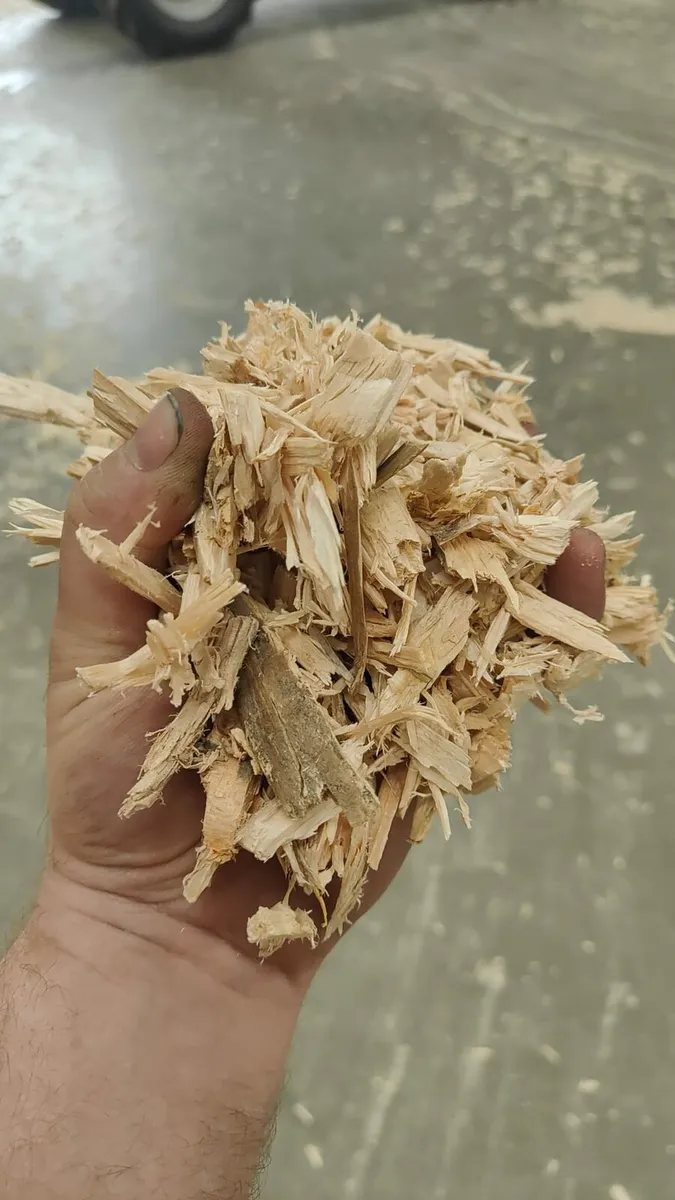 Sawdust And Woodchip - Image 2