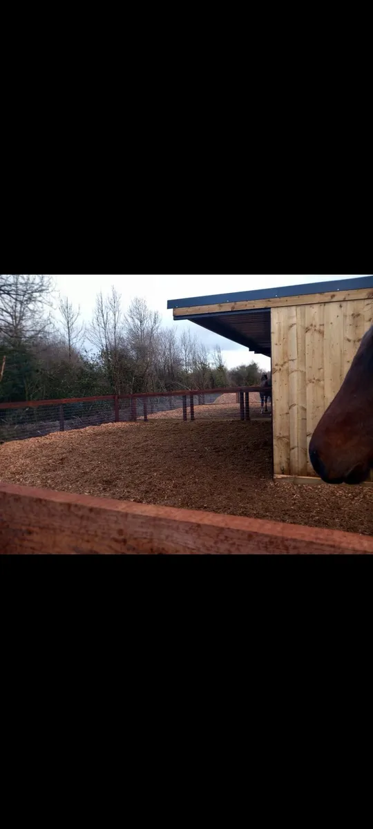 Sawdust And Woodchip - Image 4