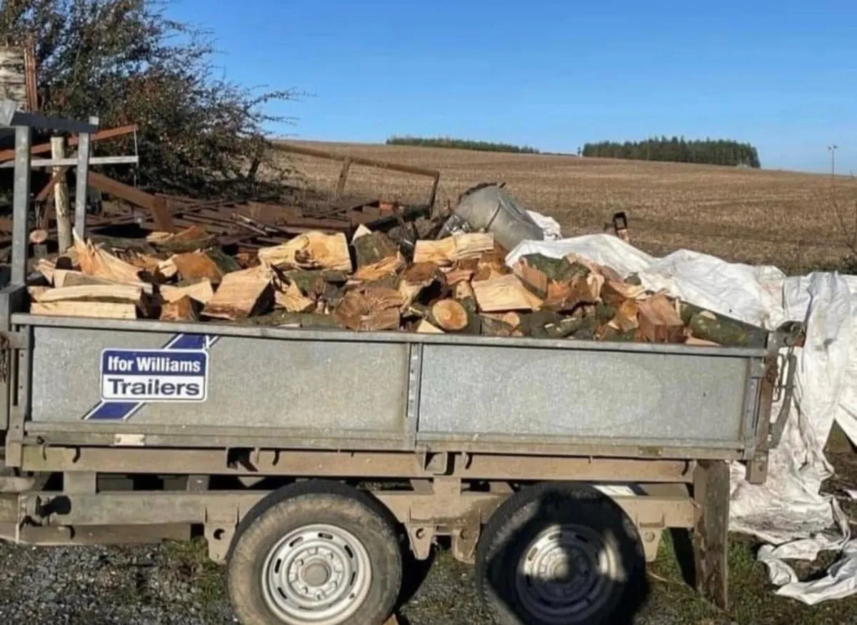Firewood For Sale - Image 1