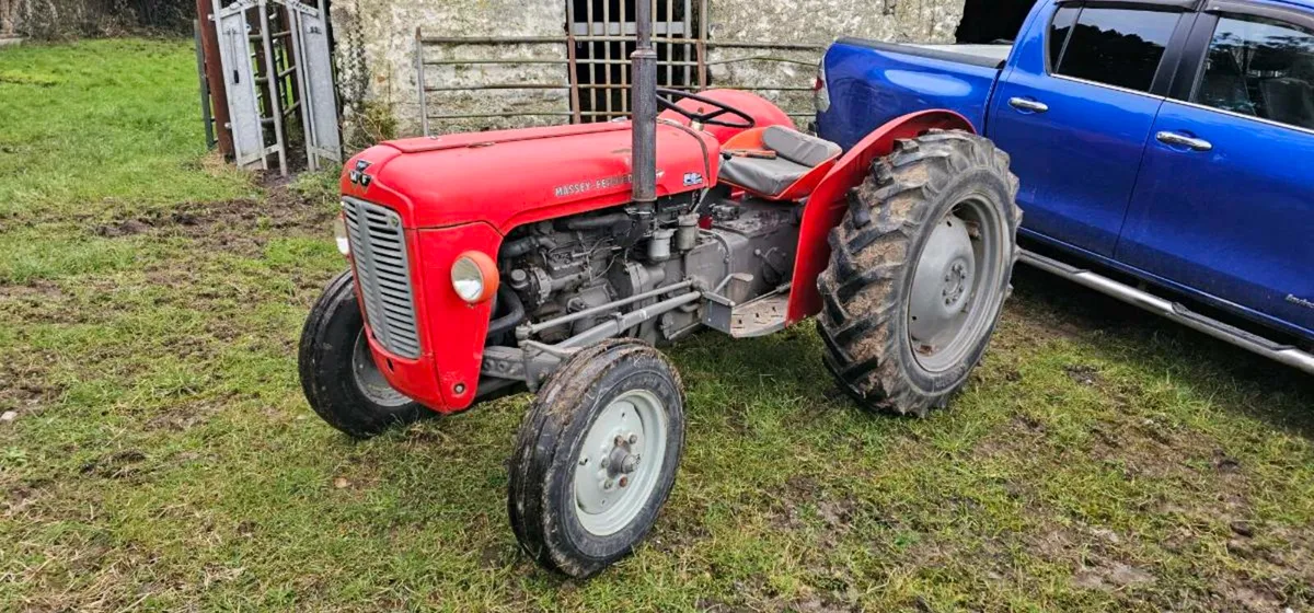 Massey 35 Mf35 - Image 2