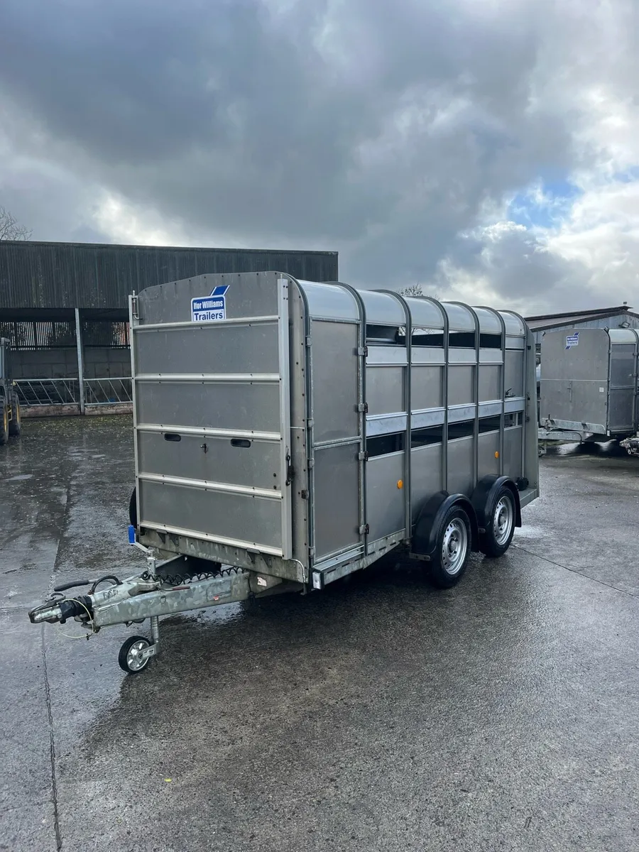 Ifor Williams Livestock Trailer - Image 2