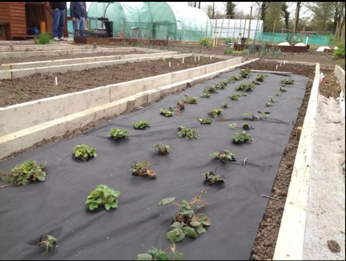 USED SCAFFOLD PLANKS - Image 1