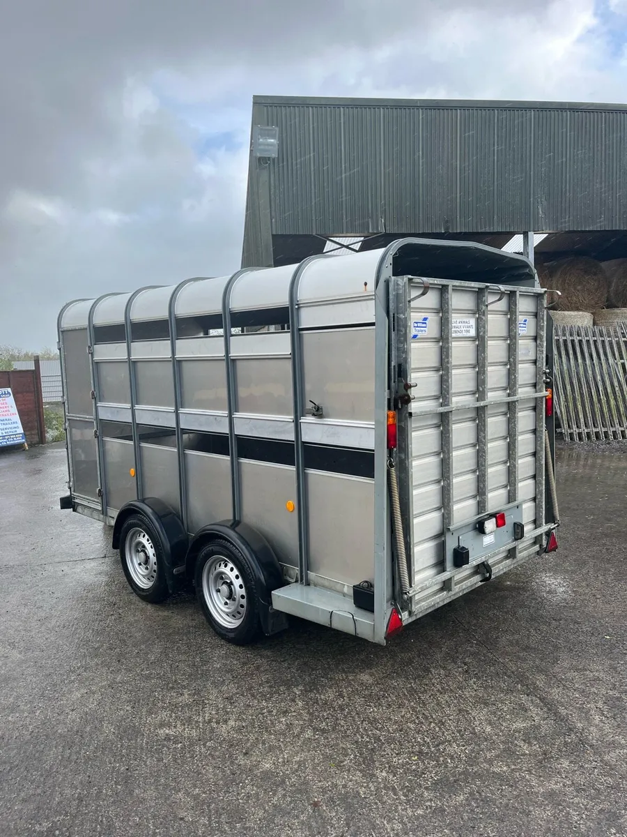 Ifor Williams Livestock Trailer - Image 3
