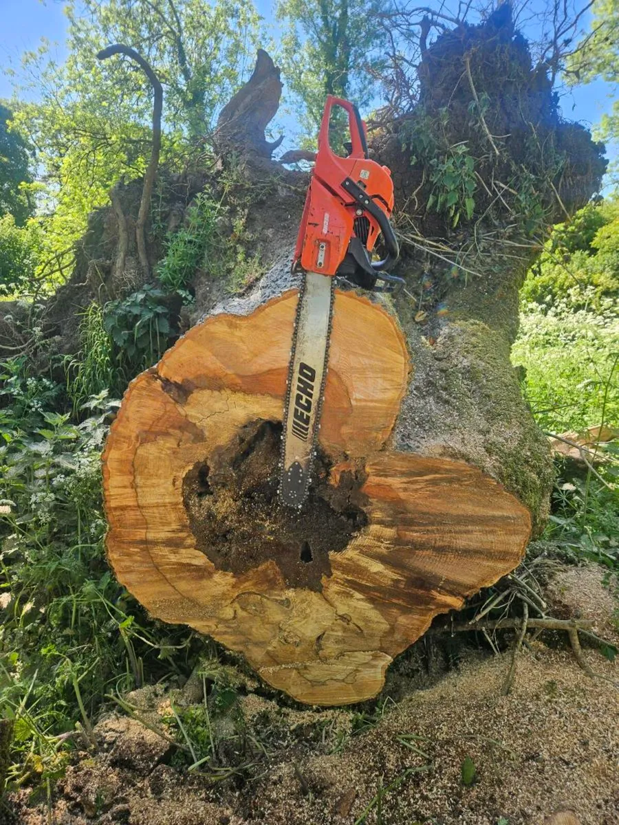 Chainsaw services - Image 3