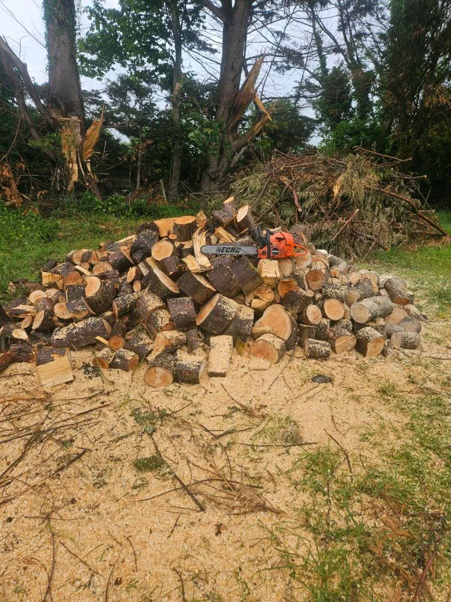 Chainsaw services - Image 4