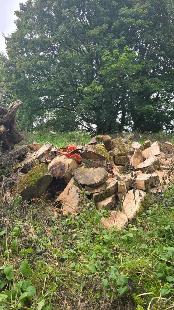 Chainsaw services - Image 1