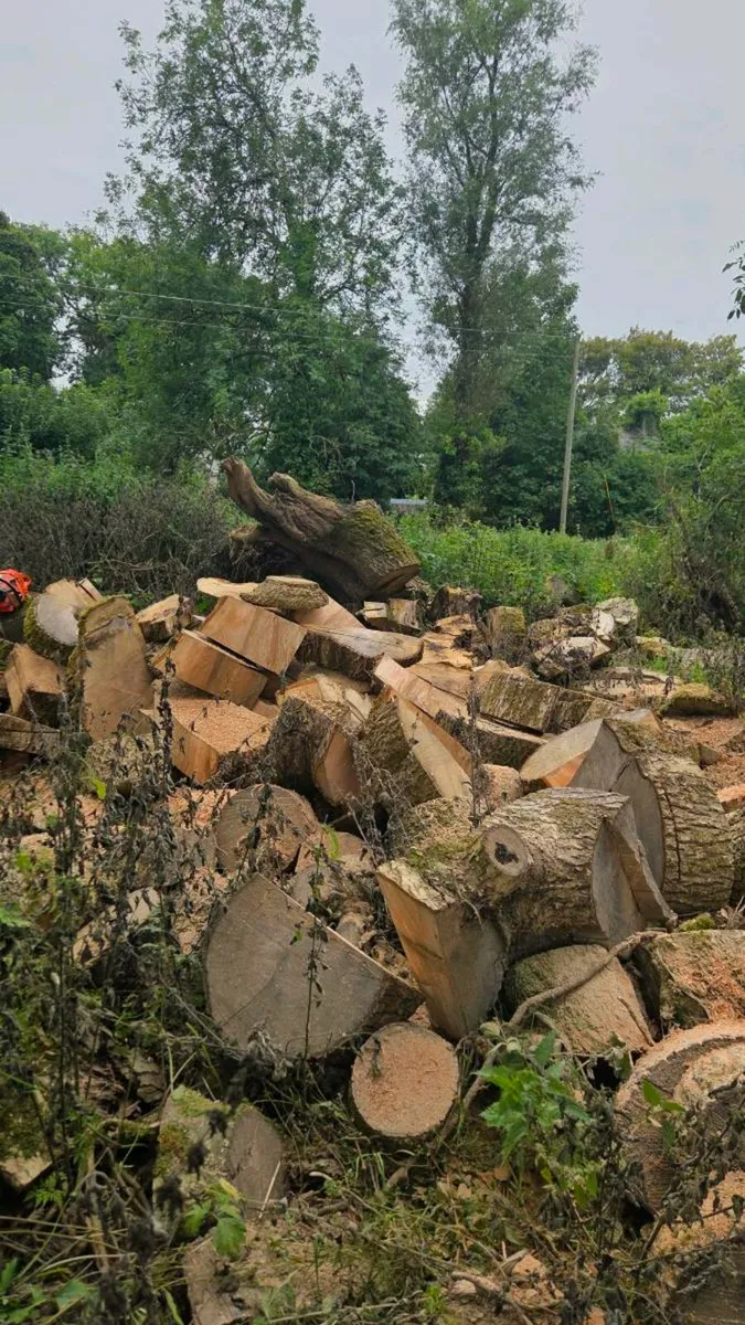 Chainsaw services - Image 2