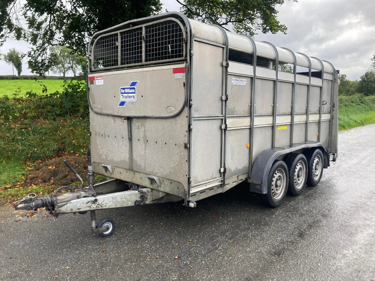 2019 Ifor Williams TA510 14ft Cattle Trailer - Image 1