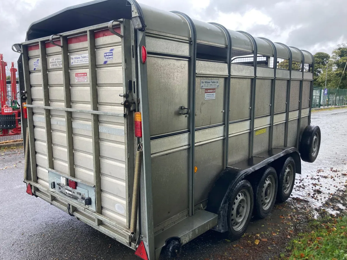 2019 Ifor Williams TA510 14ft Cattle Trailer - Image 2