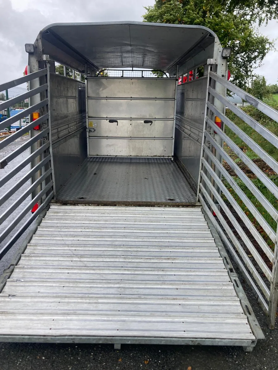 2019 Ifor Williams TA510 14ft Cattle Trailer - Image 3