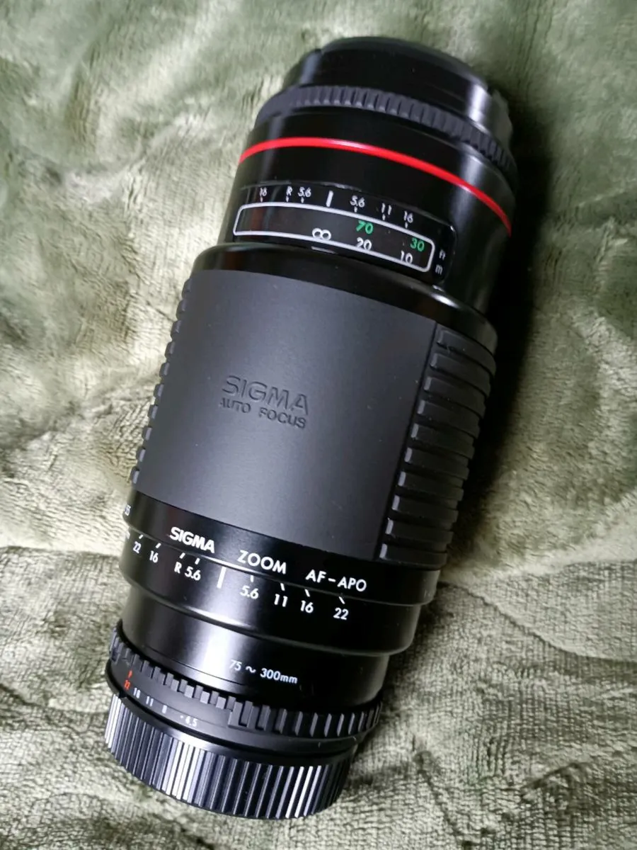 Sigma 75-300mm F4.5-5.6 Nikon Fit - Image 3