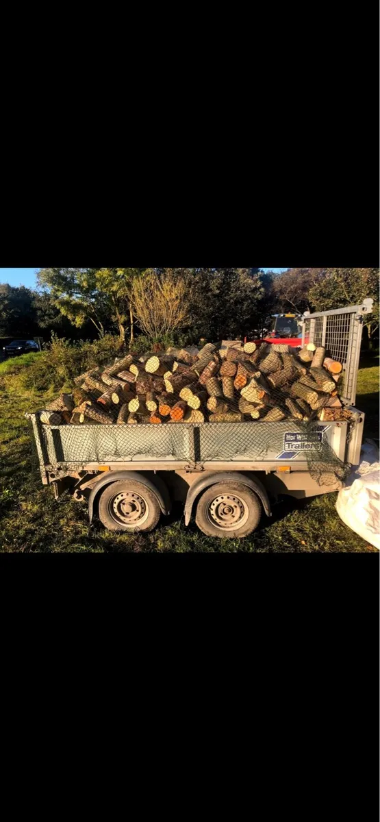Hardwood softwood FIREWOOD for sale Laois - Image 1