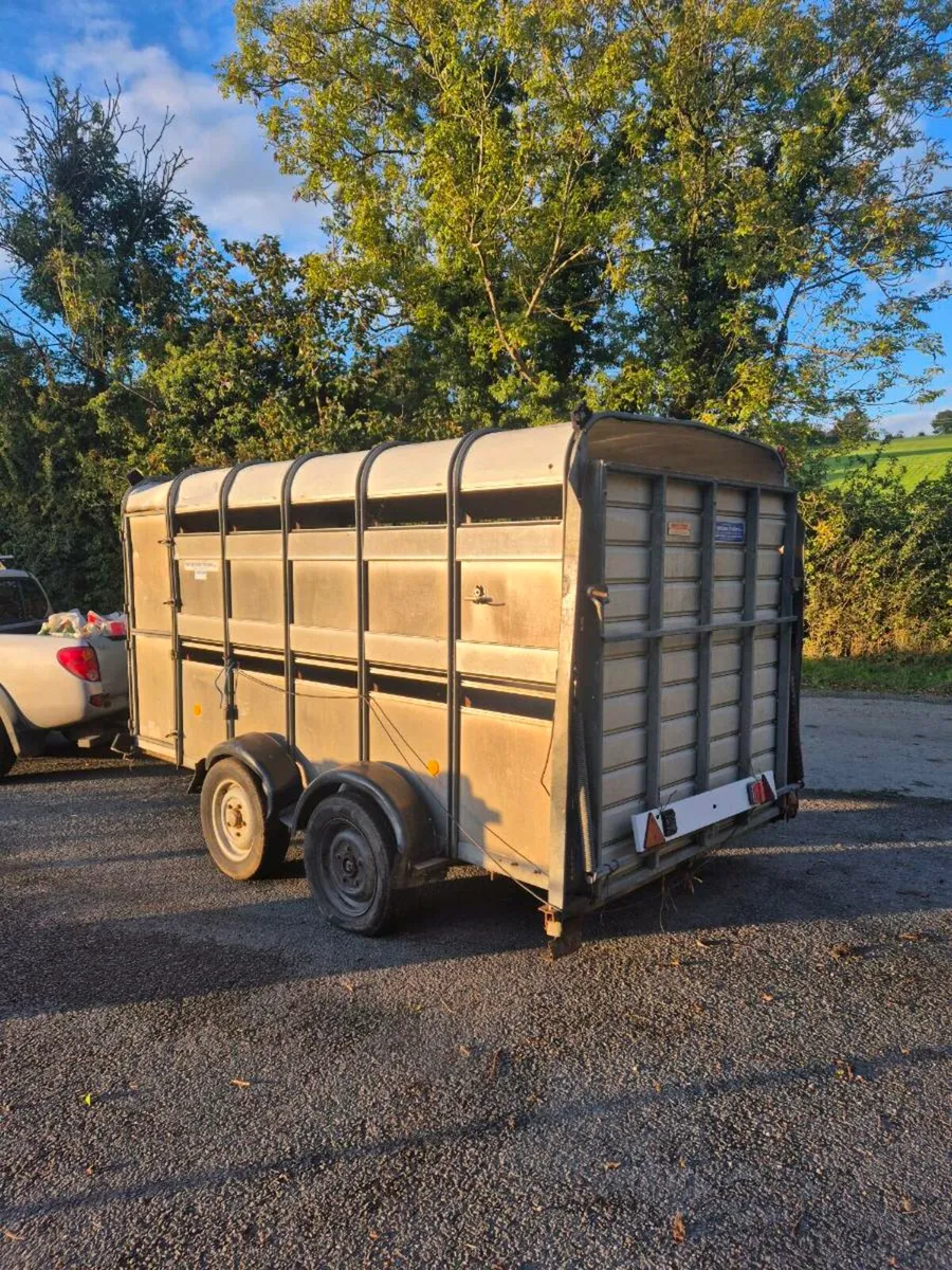 12 x 6 ifor williams - Image 3