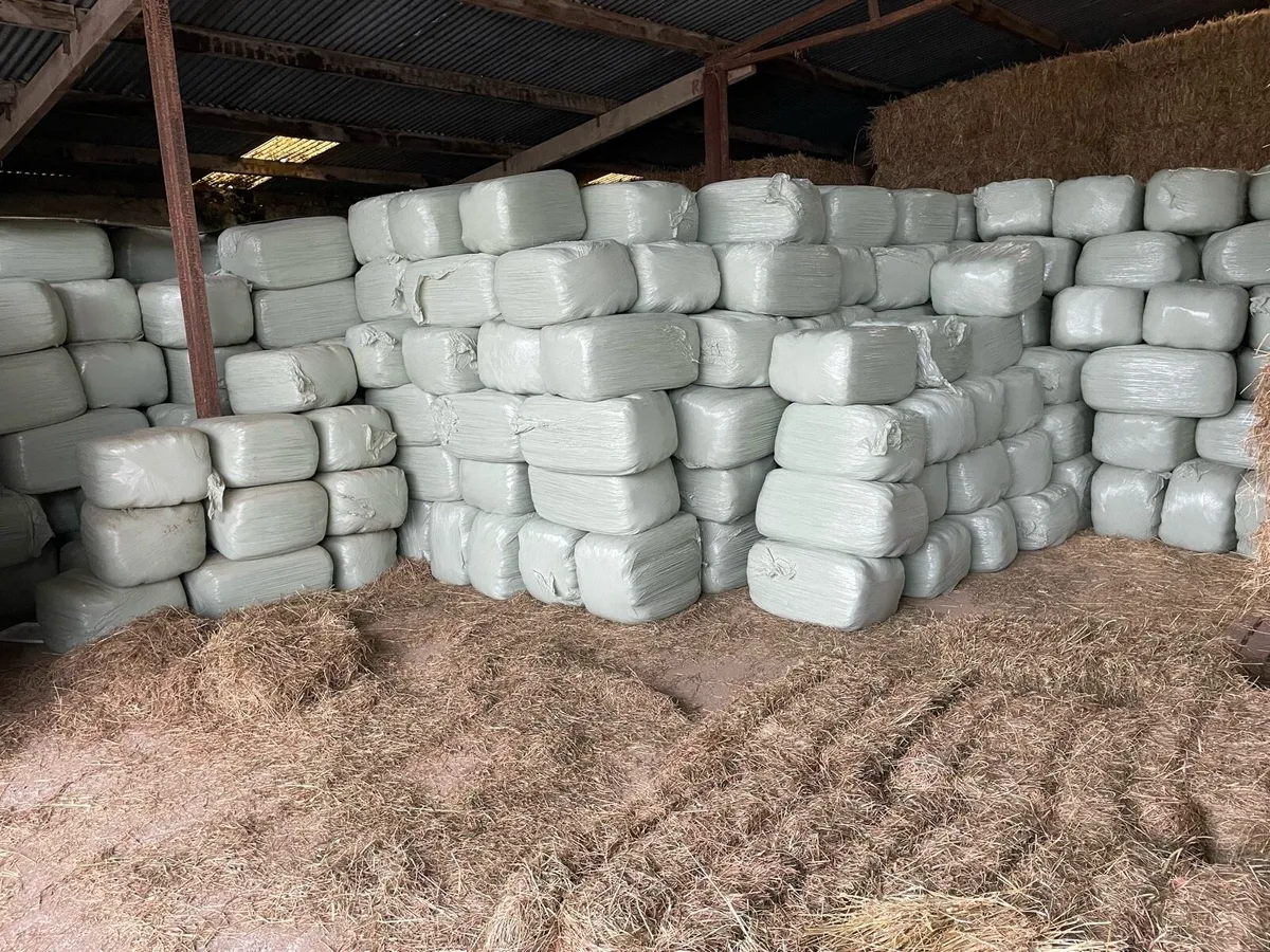 Haylage for sale - Image 2