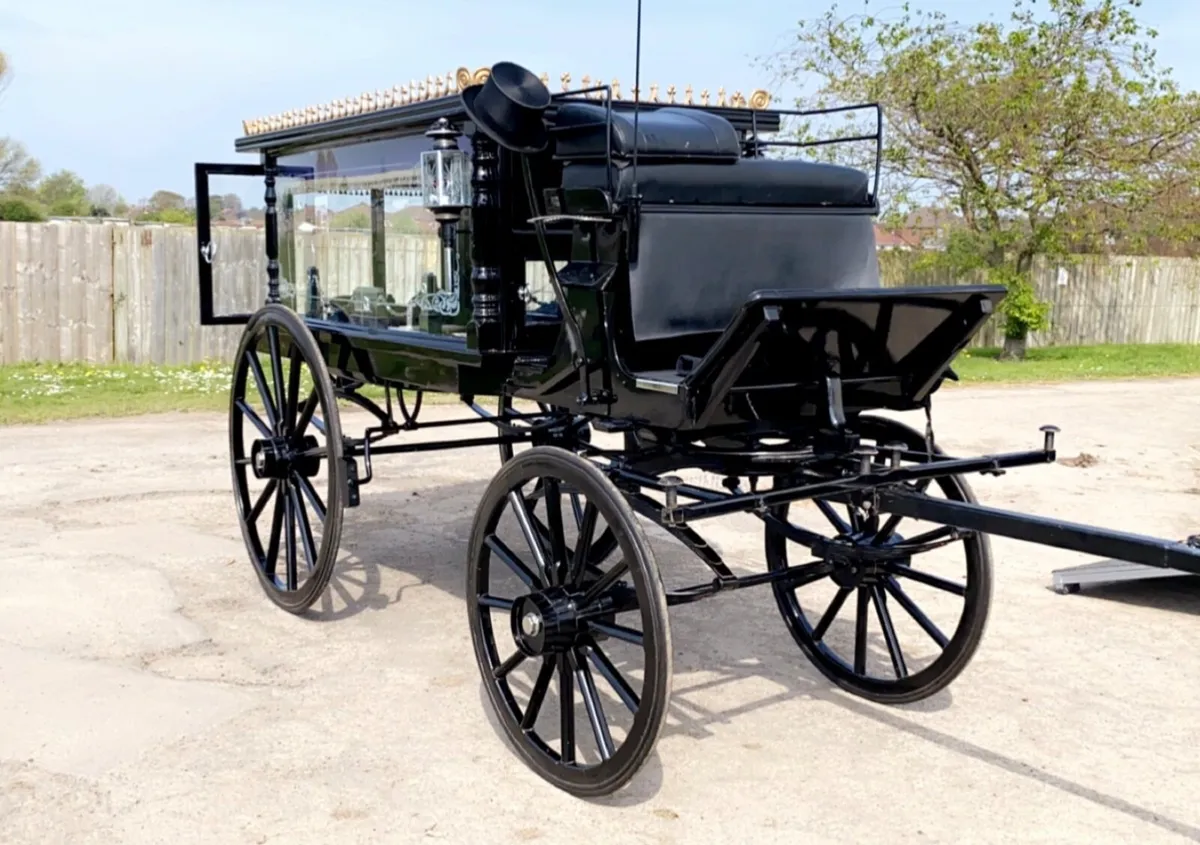 Horsedrawn hearse - Image 1