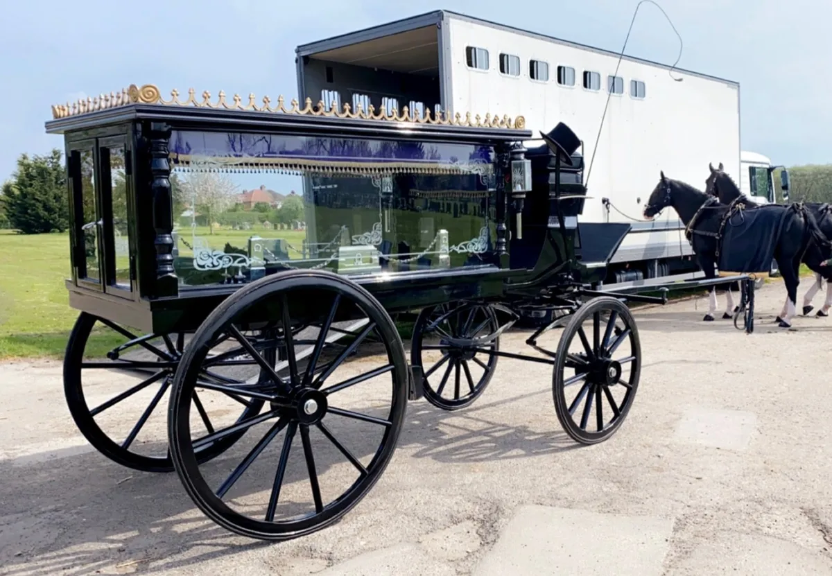 Horsedrawn hearse - Image 2