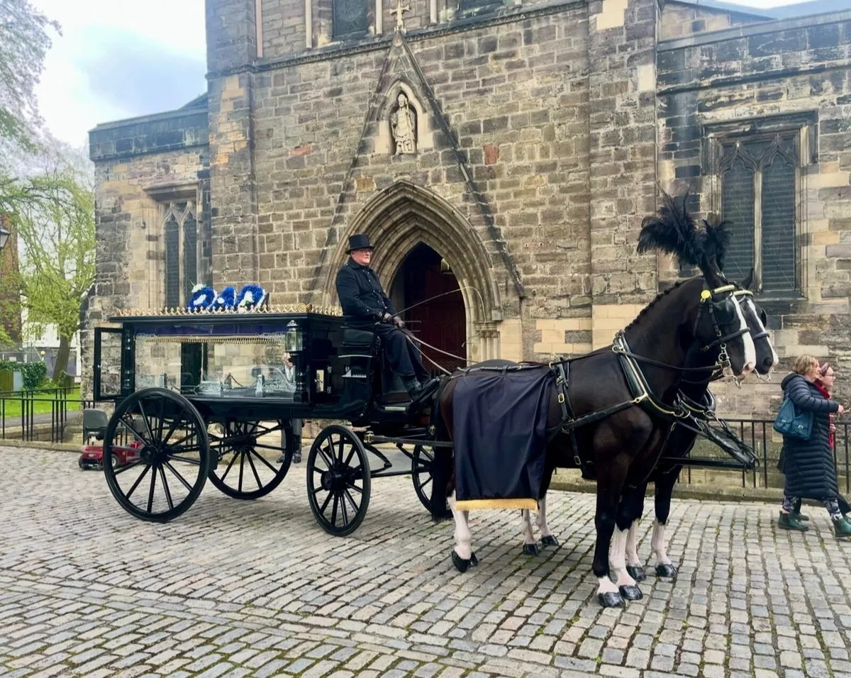 Horsedrawn hearse - Image 3