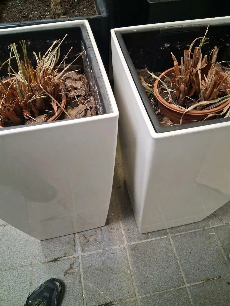 Plant pots - Image 2