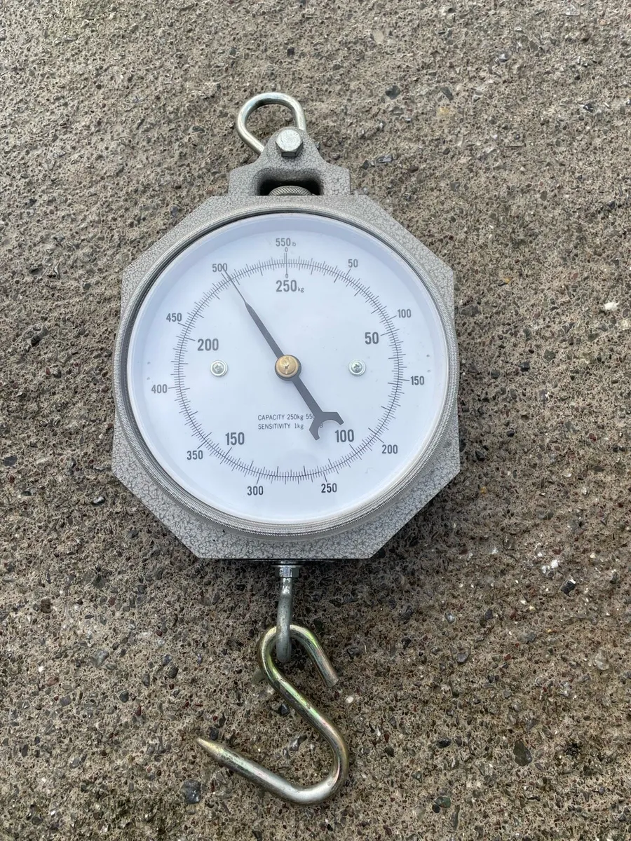 Sheep Scales - Image 3