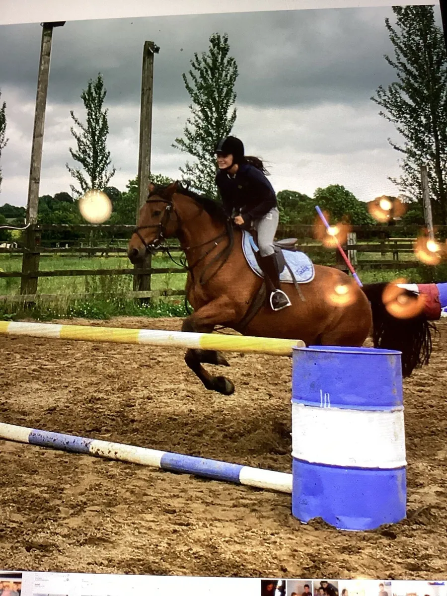 Livery available - Image 3