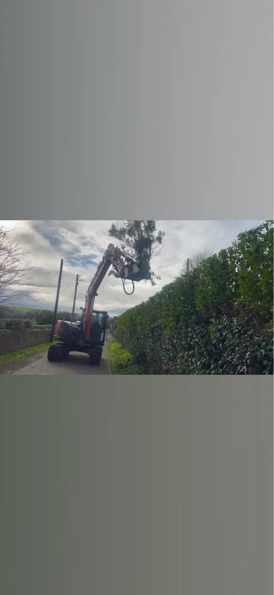 Tree shearing and chipping - Image 1