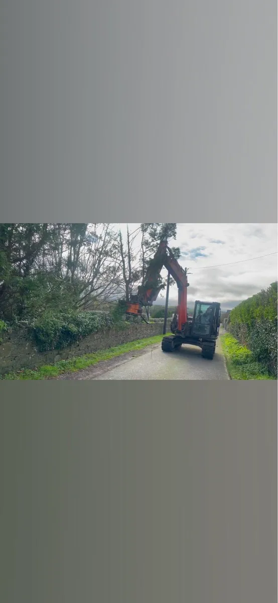 Tree shearing and chipping - Image 2