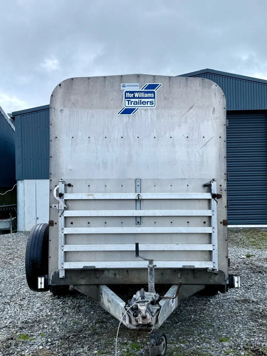 Mint Ifor Williams 12X5 *** - Image 2