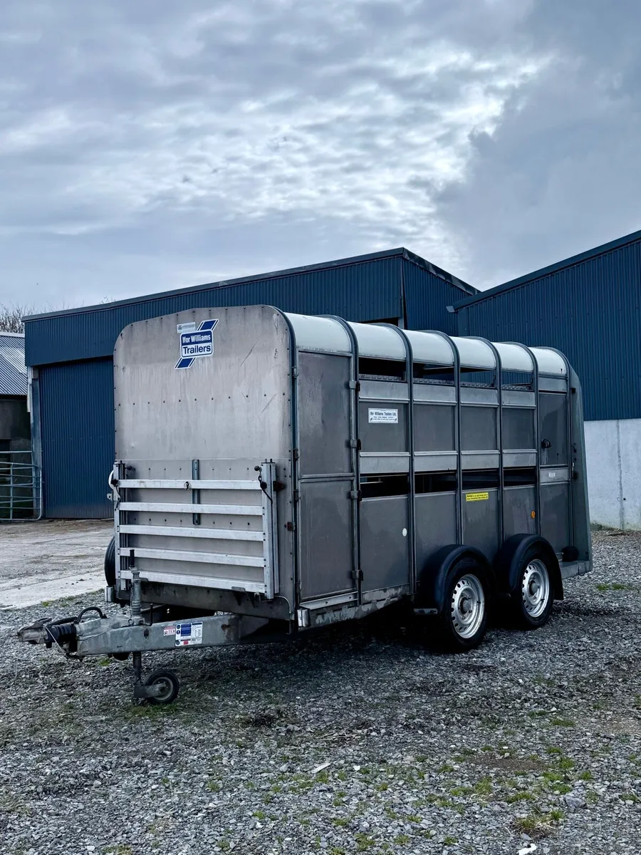 Mint Ifor Williams 12X5 *** - Image 3