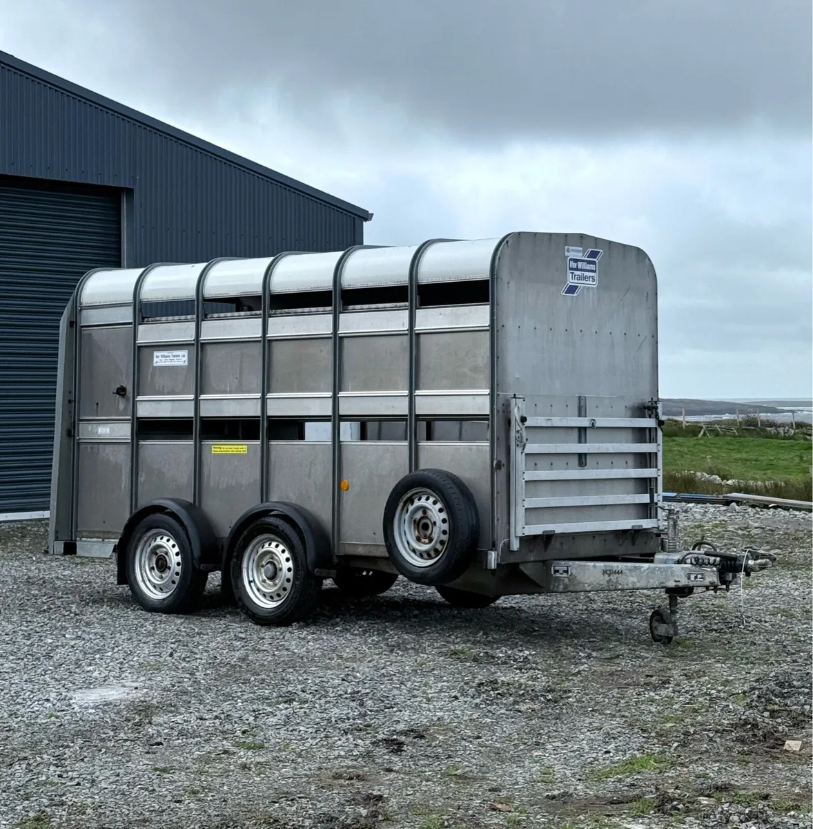 Mint Ifor Williams 12X5 *** - Image 1