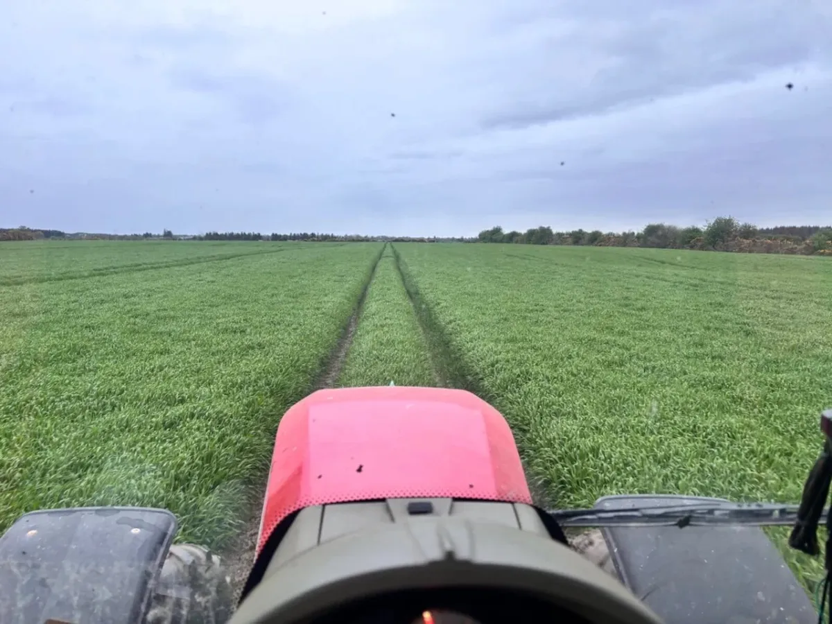 Land wanted - Galway/ Roscommon