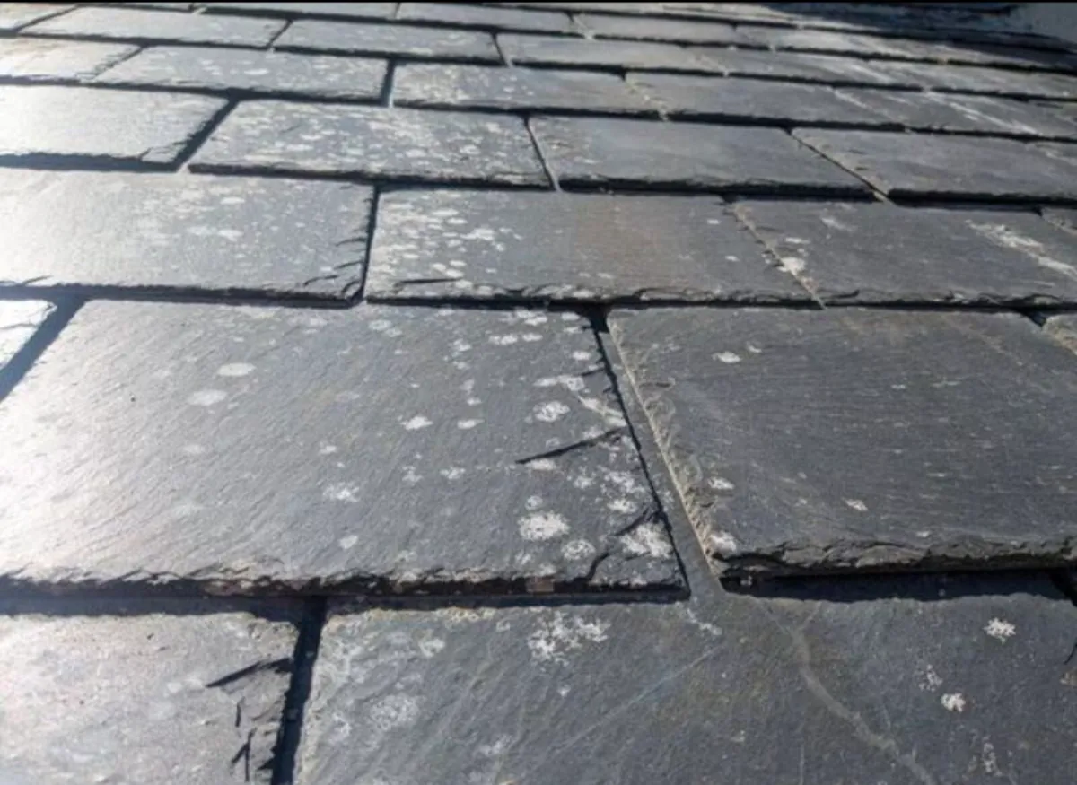 Roofing - slate/tile replacement