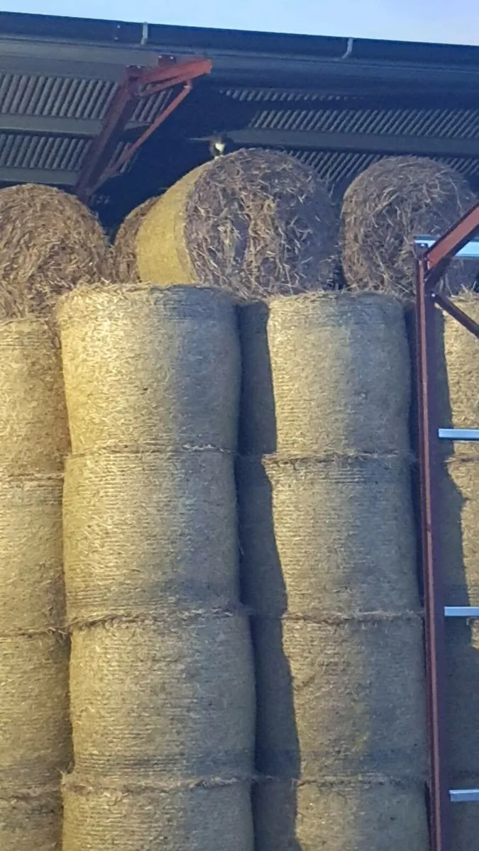 Hay top quality round 4x4