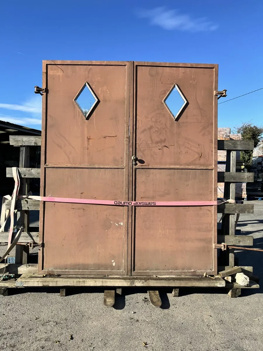 Steel Double  Doors with Windows - Image 1