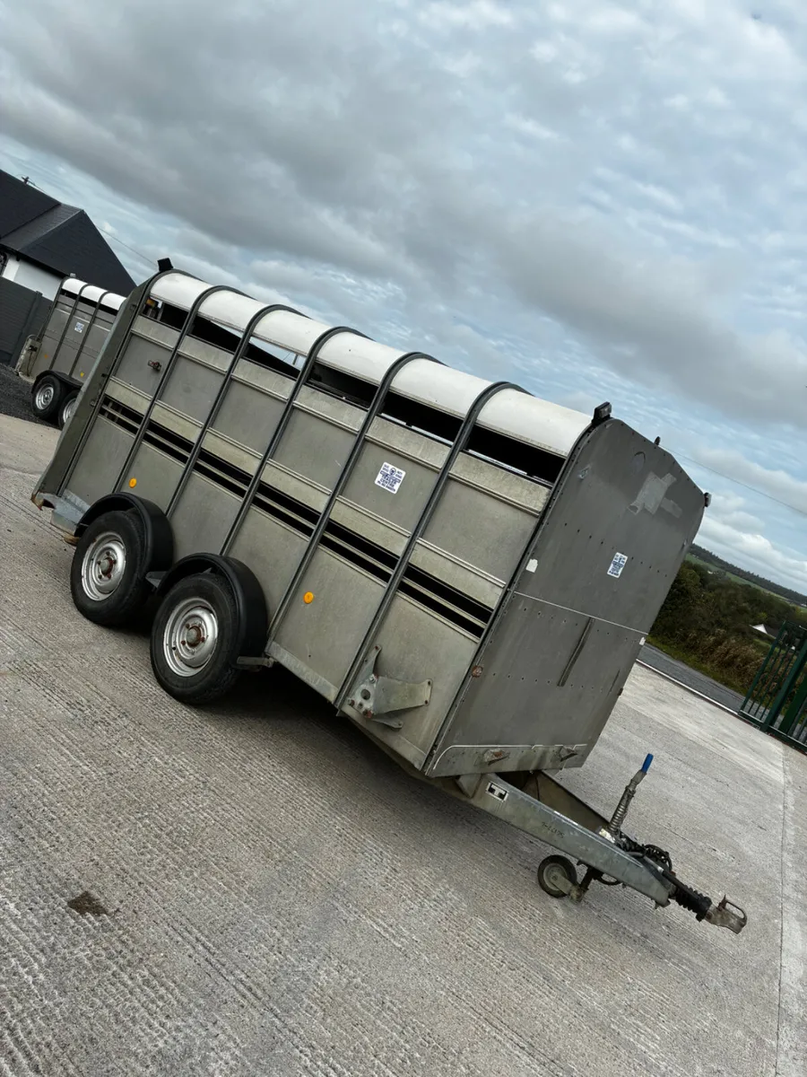 12ft Ifor Williams livestock trailer with decks - Image 1
