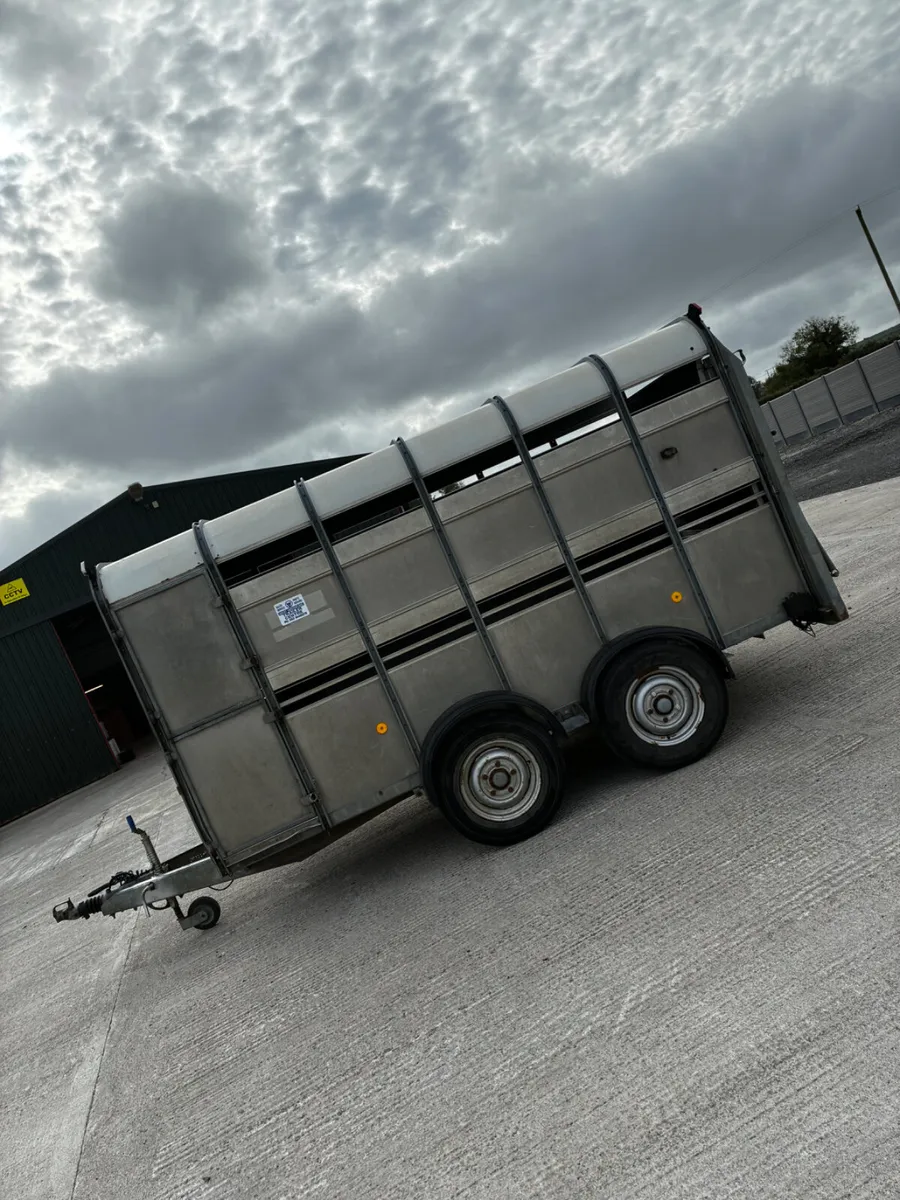 12ft Ifor Williams livestock trailer with decks - Image 2