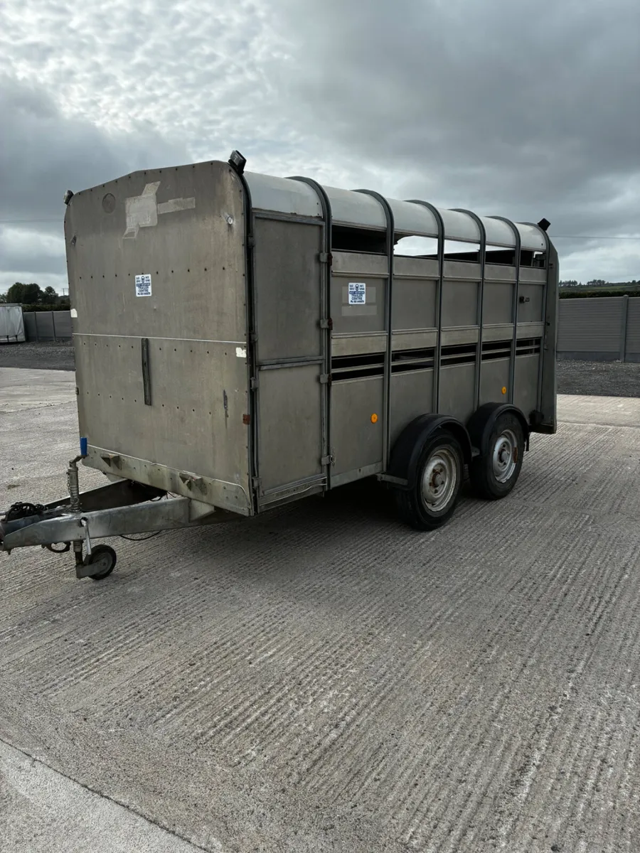 12ft Ifor Williams livestock trailer with decks - Image 3