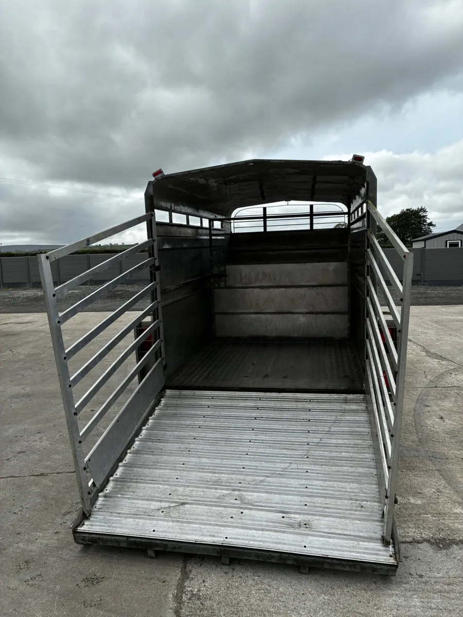 12ft Hudson Livestock Trailer. - Image 4